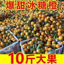 超甜麻阳冰糖橙10斤现摘湖南橙子批发薄皮大果新鲜水果2/5斤批发