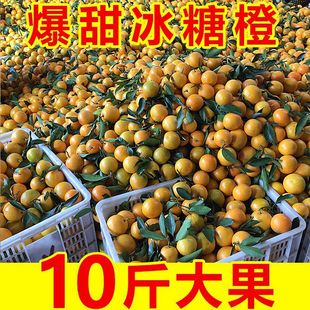 ����ꖱ��ǳ�10��Fժ���ϳ��ӱ�Ƥ������rˮ��2/5��