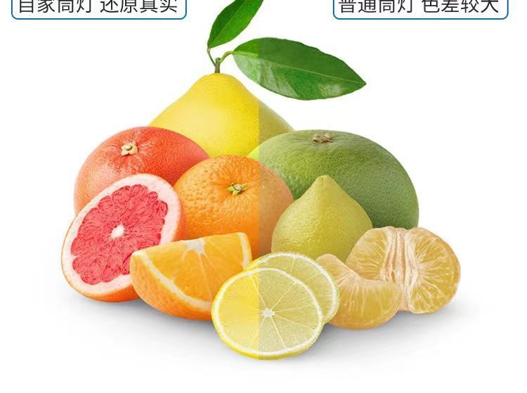 43070925-31eb-43f1-8263-fe8612bc34b2.jpe