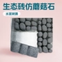 小区生态绿化仿石植草砖