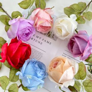 �羳��Ʒ����õ�廨��֧�o����õ��ٻ���c�bҾӻ�ˇ�廨�[��