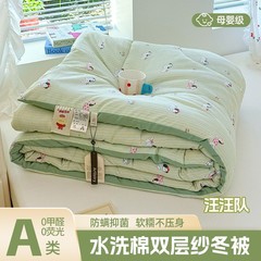 a类新款糯叽叽ins风双层纱水洗棉加厚冬被被子被芯宿舍床上用品款