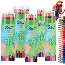筒装彩色 油性绘画12 48色铅笔涂色铅笔涂色彩铅学生培训铅笔现货