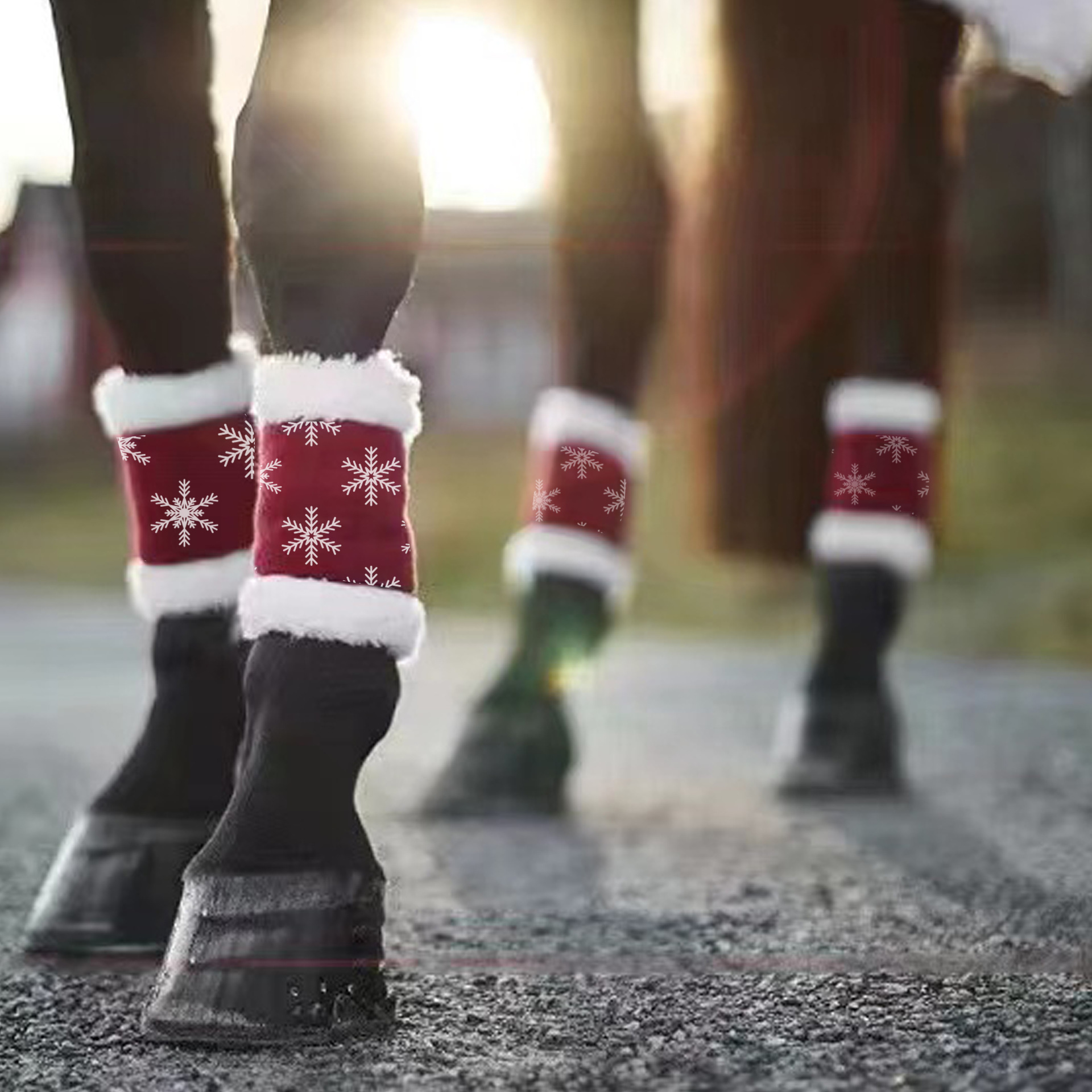 Fábrica en stock y entrega rápida polainas de caballo de Navidad polainas de caballo de terciopelo de burbuja de Año Nuevo polainas de caballo cálido entrega de una pieza