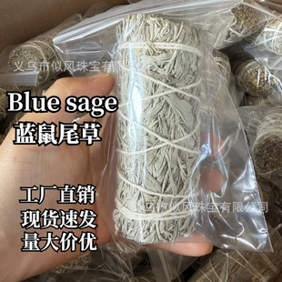 ���������M����޹���{��β�݃������ż���Ȼֲ����޹��Blue Sage