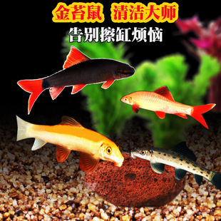 ��̦���̦���~�Ꭷ�^�p�~��������~�׳����~�坍�~�������~���~