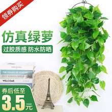 ����ֲ���ٗl�����b��҃ȱڒ컨�ٴ����͏d�S���Gֲ�ٻ����m��