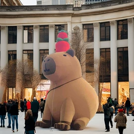 淘气堡;大型充气玩具;感统训练器材