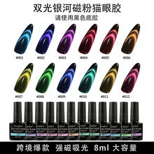 12色黑底 银河双光磁吸猫眼甲油胶套装 跨境外贸UV光疗磁粉猫眼胶