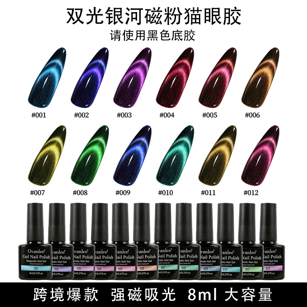 12色黑底 银河双光磁吸猫眼甲油胶套装 跨境外贸UV光疗磁粉猫眼胶
