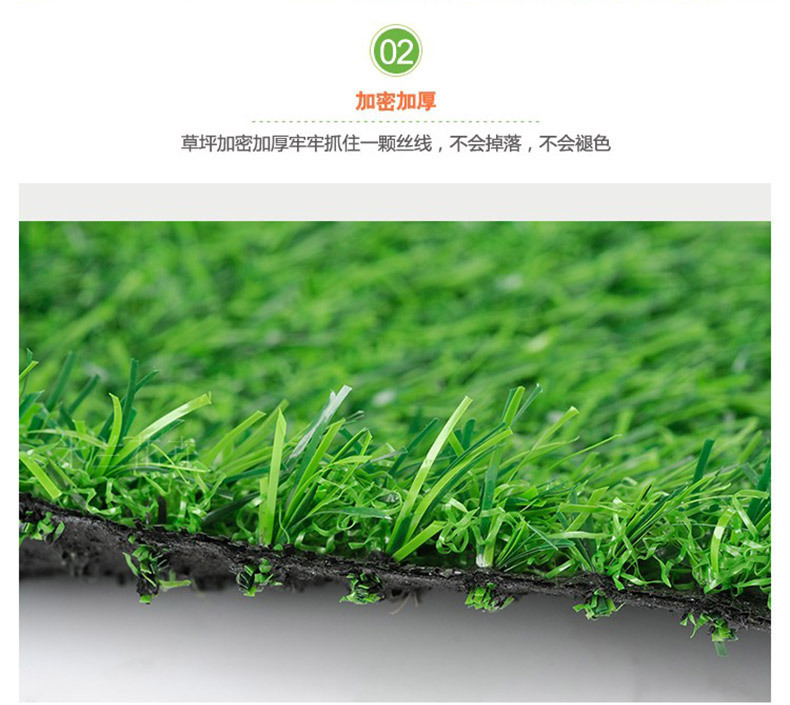 阿里地毯草详情 (10)