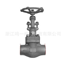 �䓽�ֹ�y800LB���ˇ��˵�PN100��ս�ֹ�yˮ���yˮ�ܷ��ֹ�y