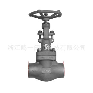 �䓽�ֹ�y800LB���ˇ��˵�PN100��ս�ֹ�yˮ���yˮ�ܷ��ֹ�y
