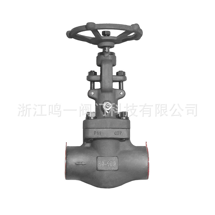 锻钢截止阀800LB美标国标德标PN100真空截止阀水封阀水密封截止阀