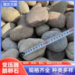 内蒙古呼和浩特 变压器水池鹅卵石定 制 光伏变电站河卵石 大跃