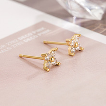 �羳���N��� �W���p���L�����\�����~������ٴ�С���¾��¶�