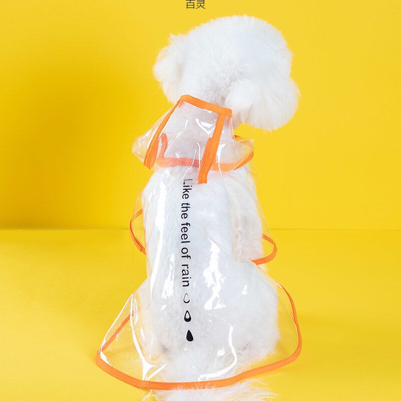 New Style Transparent Multi-Color Pet Raincoat for Small and Medium-Sized Dogs Like Teddy, French Bulldog, and Pomeranian