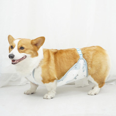 犬のお腹をかわいがって、風邪をひくのを防ぎます。
