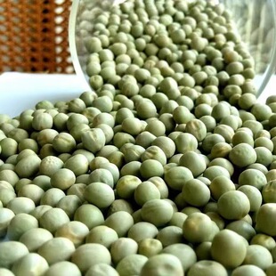 ɢ�b�㶹���ඹë�����㶹�G��������ܿ���tܿ���㶹��