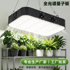 植物生长灯;水族照明设备;阅读台灯