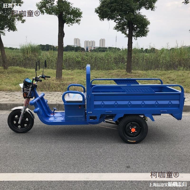 Electric Tricycle Express Climbing Freight Transport Substitute Pick-up Agricultural Adult New Car Mountain Area Factory