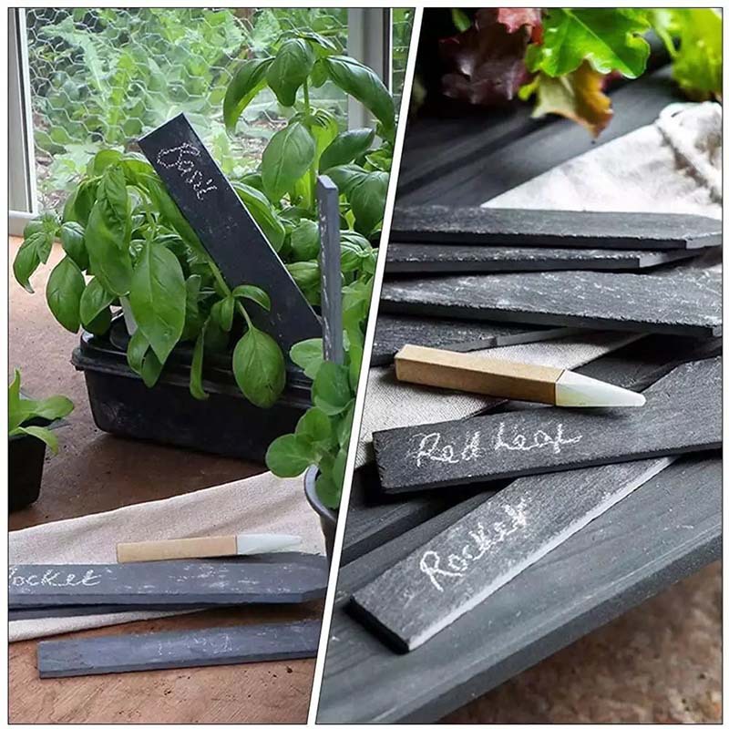 Tag de plantas de pizarra jardín flores arbustos suculentos huerto hortales piedra enchufe al por mayor