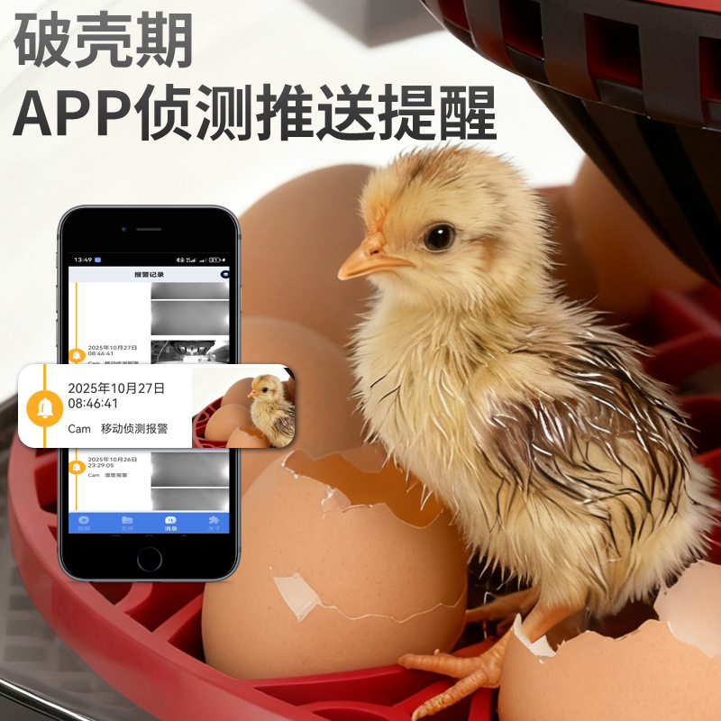 Home-Use Visual Incubator with Intelligent Remote Monitoring, Automatic Egg Turning, Temperature and Humidity Control, Pigeon Egg Hatching Machine Home-Use Visual Incubator with Intelligent Remote Monitoring, Automatic Egg Turning, Temperature and Humidity Control, Pigeon Egg Hatching Machine