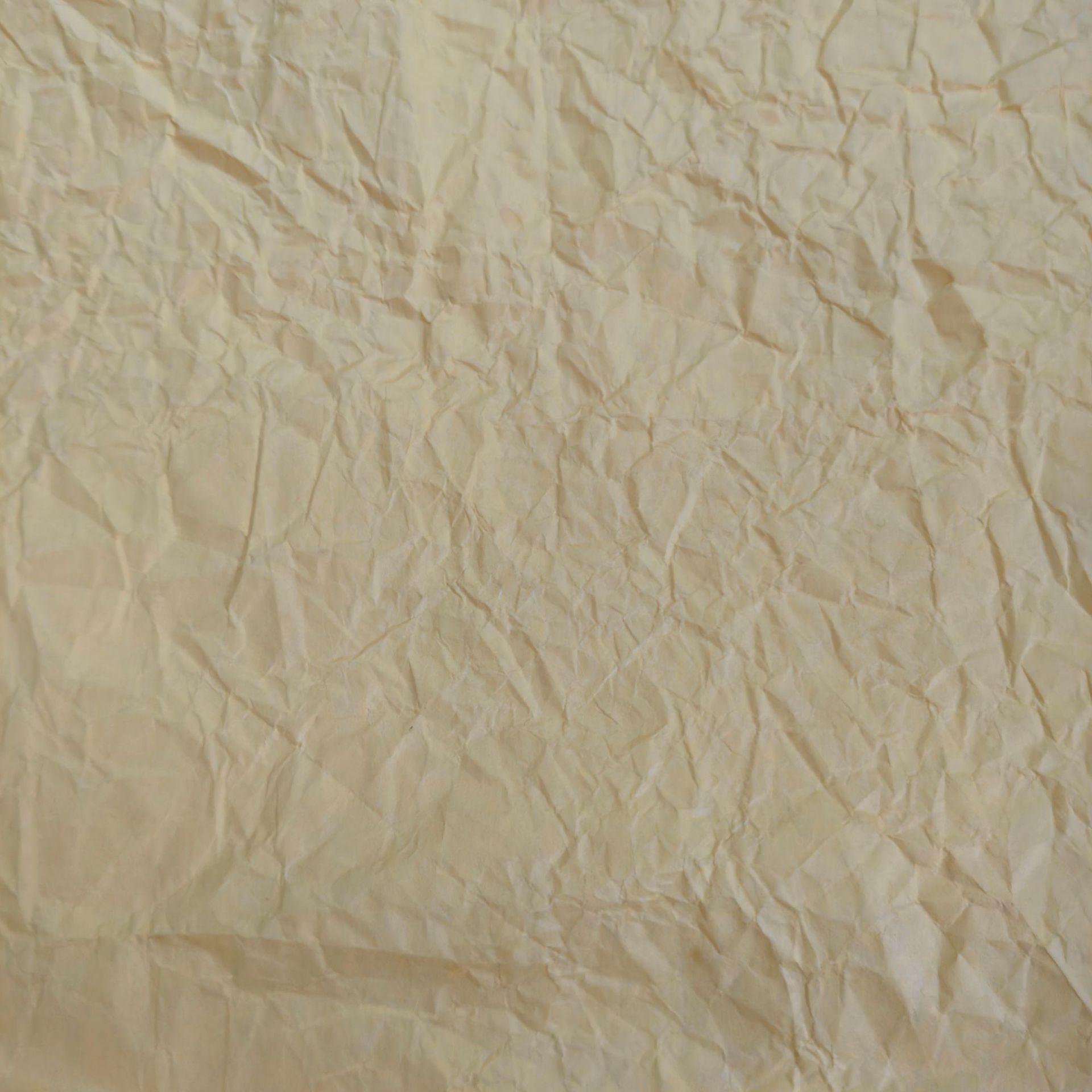 Sampanye (75cm × 1,45 m)1 lembar