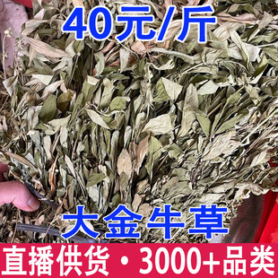 ���ţ�� �ϱ���ţ ��ţ�� ��������l���l