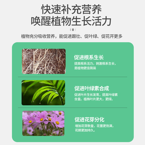 Universal Flower Fertilizer for Orchids and Roses, 10-Pack, Blossom-Boosting Water-Soluble Compound Fertilizer, Wholesale