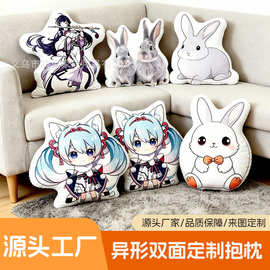 抱枕定制来图定制企业礼品logo图片宠物玩偶枕头毛绒异性抱枕现货