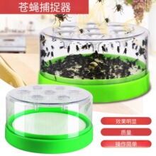 �羳�nω�T�������Ñ����Bֳ���������x��ω���Ԅ��T���nω��