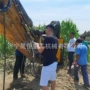 振动高频震动长臂钩机