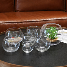 ΢���^ˮ��ֲ��͸������ƿ�G�}��ƿ����͸���A���~�׿͏d���愓��