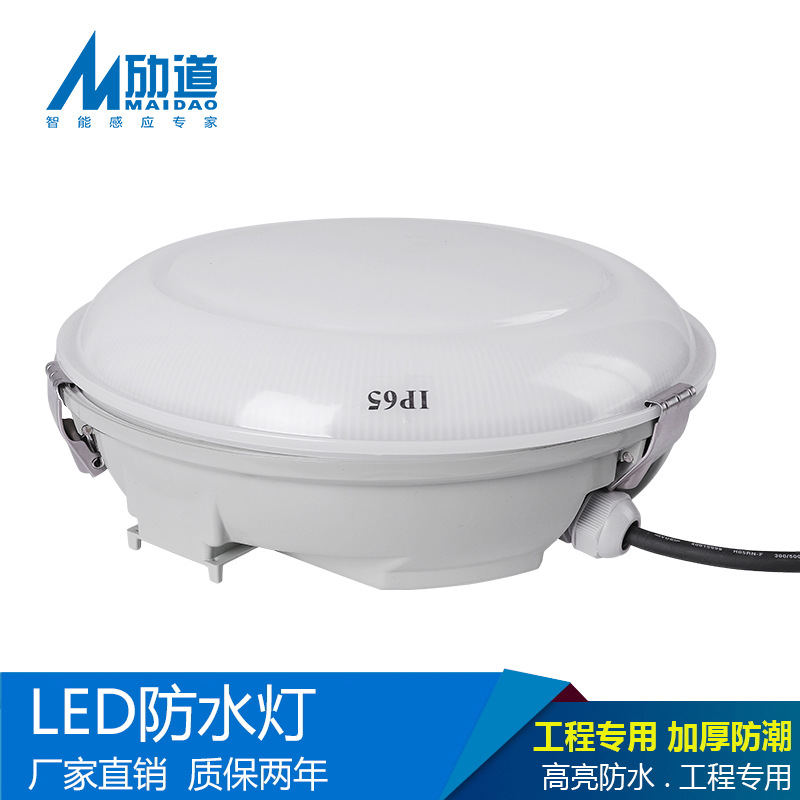 LED ceiling light