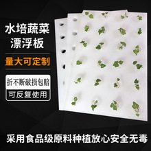 ��ֲ��ֲ��ˮ������������˹�����ֲ����ˮ�ඨֲ����ĭ��Ư����