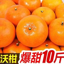 廣西沃柑1-10斤新鮮橘子水果當季沙糖蜜橘砂糖柑橘桔子量大從優