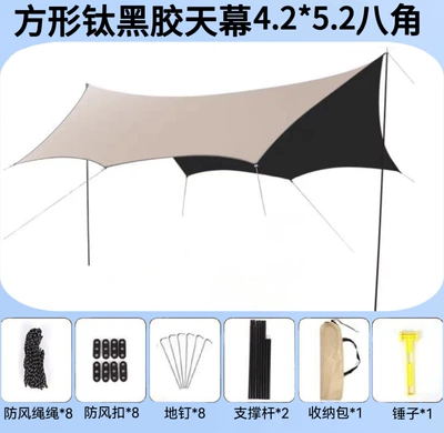 Outdoor Camping Sunshade: Avtomobil yan çətirləri - 42-52m-vinyl-octagon-ordinary-nails-vinyl-canopy