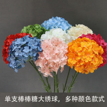 ���滨�����ǽ����֧�����c�ٻ�·���廨��Y�͏d�[���b�