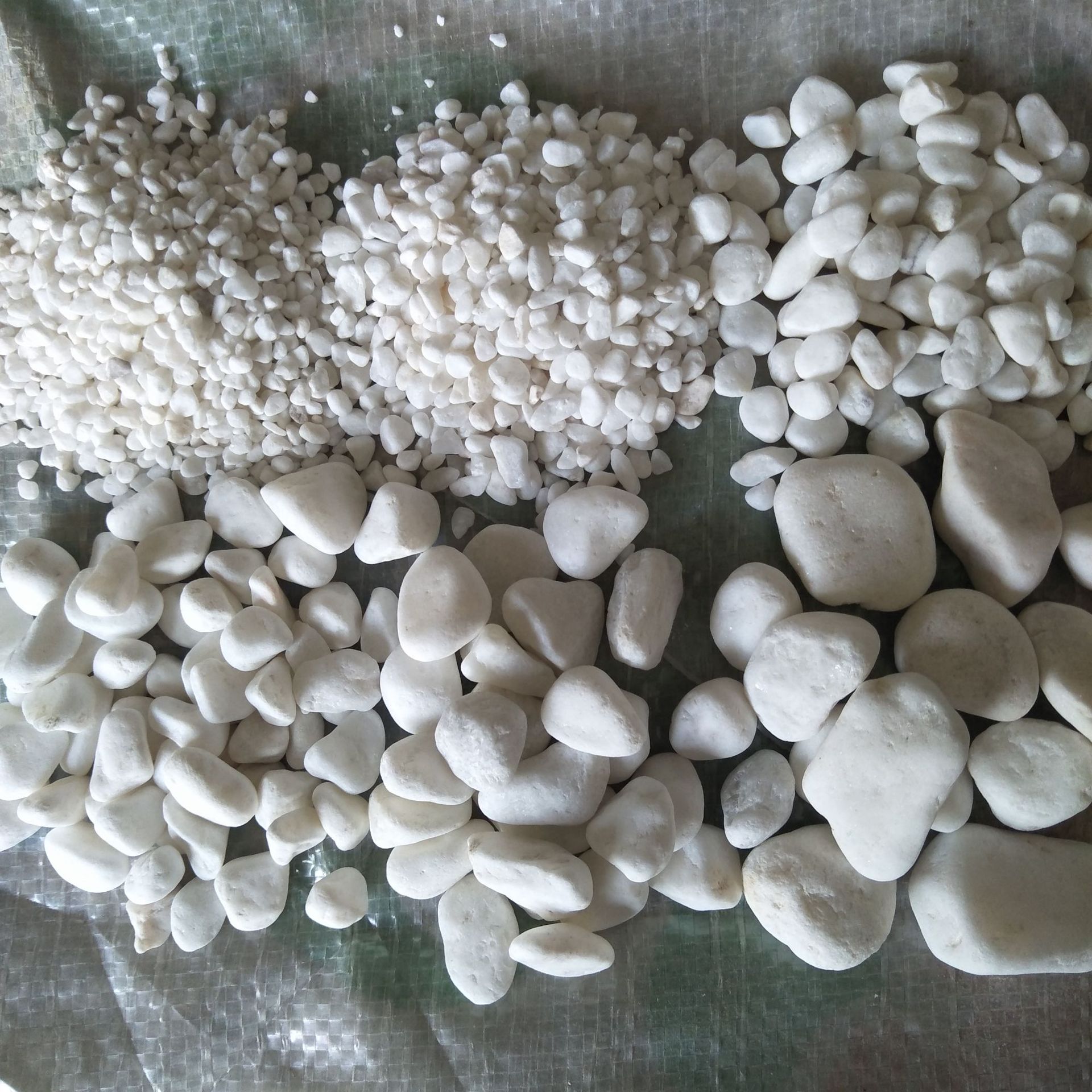 批发白色鹅卵石 水洗白色鹅卵石 白石子 白石米 白碎石