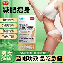 进口cla共轭亚油酸绿茶肉碱软胶囊澳鼎百合康左旋肉碱减肥保健品