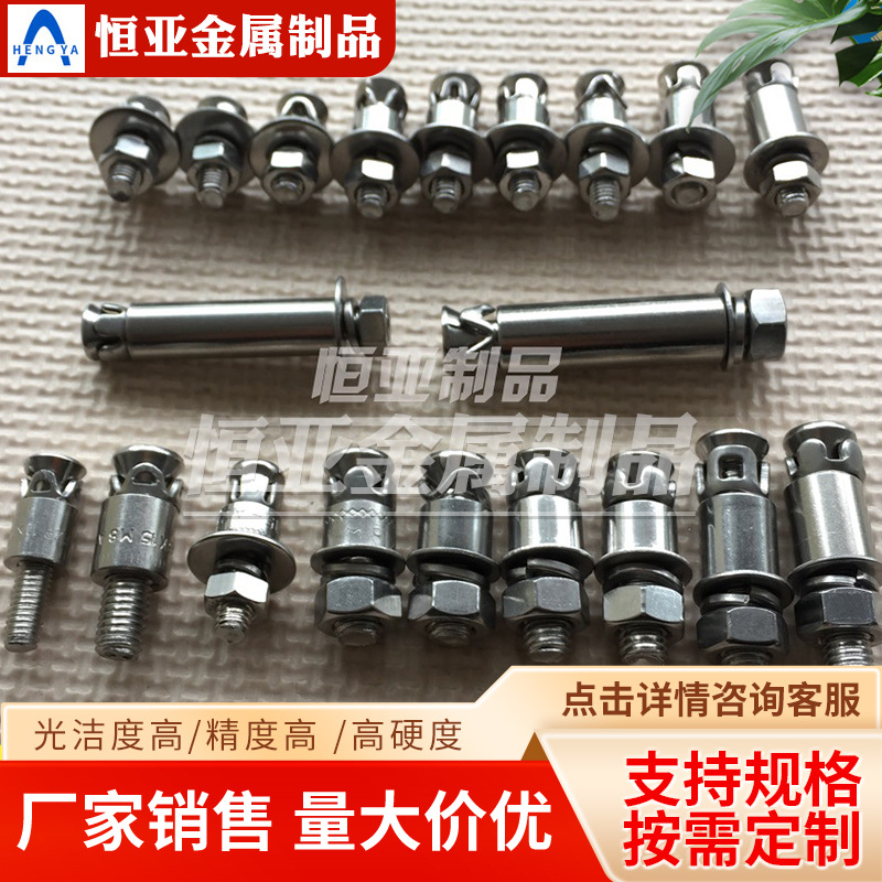 厂家供应不锈钢背栓、敲击式背栓、石材背栓螺丝、长度钢构