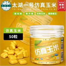 ̫��һ̖������������~����������D�������~�N��ܛ�D����ζ�~�D