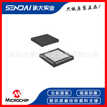 MICROCHIP微芯 HV9982K6-G LED驱动DC-DC控制器 QFN-40(6x6) 原装