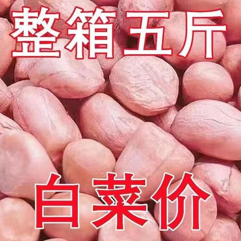 2025 New Fresh Peanuts for Commercial Use, Fresh Peanuts from Baisha, 5kg Pack