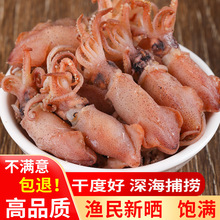 小海兔干货500g海鲜非满籽海兔子墨鱼干乌贼大笔管鱼小鱿鱼仔