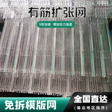 免拆镀锌有筋扩张网金属拉伸网墙体抹灰灌浆模版网建筑轻钢别墅