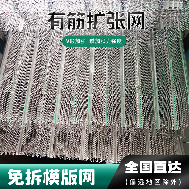 免拆镀锌有筋扩张网金属拉伸网墙体抹灰灌浆模版网建筑轻钢别墅