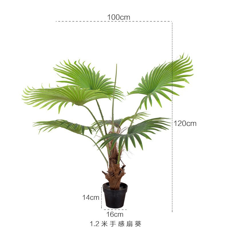 Planta tropical árbol de palma falso ventilador de simulación árbol de girasol paisaje interior árbol de girasol árbol de girasol Tang planta de disco de girasol de simulación de girasol image 10