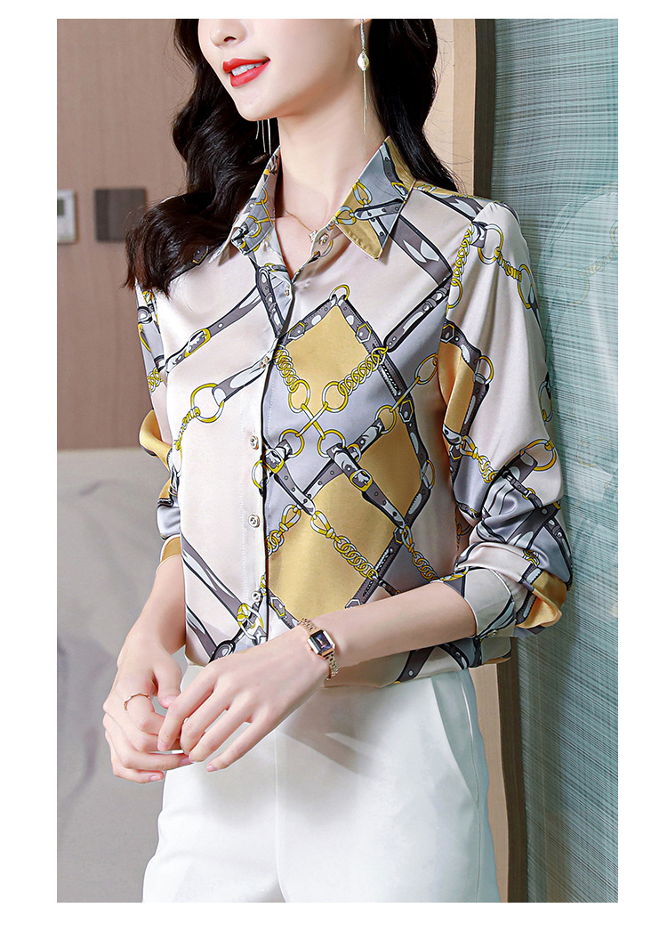 Silk Shirt Image